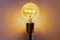 Ideas To make Money Concept In Light Bulb Success