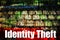 Identity Theft Hot Online Web Security Topic