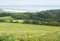 Idillic landscape with sheep, lambs, ram on field