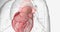 Idiopathic Dilatation of Pulmonary Artery
