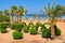 Idylic beach with palms and sun umbrelas, Red Sea, Egypt