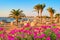 Idylic beach with palms and sun umbrelas, Red Sea, Egypt