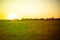 idylic summer field with grass panorama, nature landscapes during sunset