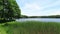 Idyll lake in summer with reed and green alder trees