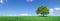 Idyll, panoramic landscape, lonely tree among green fields