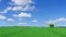 Idyll, panoramic landscape, lonely tree among green fields