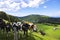 Idyll swiss typical landscape with mountains and cows