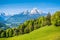 Idyllic alpine landscape with green meadows, farmhouses and snowy mountain tops