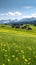 Idyllic alpine pastures in springtime, Austria