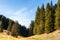 Idyllic autumn landscape in the Alps