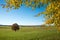 Idyllic bavarian landscape in autumn, pasture with tree and branches