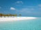 Idyllic Beach on Maldives on Meeru Island with Palm Trees