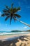Idyllic beach with palm. Sri Lanka