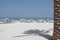 Idyllic beach with palm trees and white sand