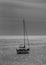 Idyllic black and white photo of a solitary sailboat drifting across a tranquil ocean