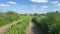 Idyllic breezy dirt road through lush farm pasture with birds flying in blue sky