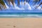 Idyllic Caribbean beach bordered above by palm frond