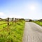 Idyllic country road in the sun