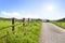 Idyllic country road in the sun