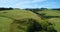 Idyllic countryside farmland nature and hills with cows on grass in New Zealand