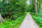 Idyllic creek with curved trees over the river for hiking-tours and canoe trips in a protected landscape on a calm river