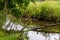 Idyllic creek with curved trees over the river for hiking-tours and canoe trips in a protected landscape on a calm river