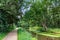 Idyllic creek with curved trees over the river for hiking-tours and canoe trips in a protected landscape on a calm river