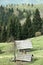 Idyllic dairy farms on alpine meadow