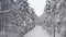 Idyllic drone shot of a snowy road in the middle of the forest in Finland.