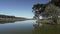 idyllic duck pond on a traditional sheep farm