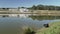 idyllic duck pond on a traditional sheep farm