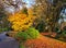 Idyllic fall scenery with bushes and trees with colorful leaves