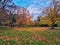 Idyllic fall scenery with colorful leaves on the grass and trees