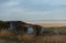 Idyllic farmland scene of shed covered in vines overlooks the valley on an e