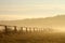 Idyllic fence on a misty field at sunrise