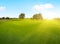 Idyllic field landscape with grass and sun