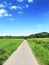 Idyllic footpath through fields