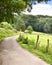 Idyllic footpath through fields and forest