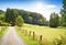 Idyllic footpath through fields and forest