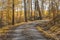 Idyllic forest and field path