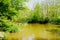 Idyllic forest lake with a grass island and cloudy water