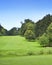 Idyllic golf course with forest