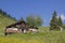 Idyllic Grabenbergalm in Mangfall mountains