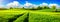 Idyllic green fields with vibrant blue sky