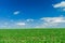 Idyllic green grass agricultural environment space horizon nature scenic view background empty copy space here in spring season