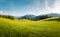 Idyllic landscape in the Alps with blooming meadows in springtime