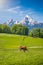 Idyllic landscape in the Alps with cow grazing on fresh green mountain pastures