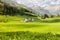 Idyllic landscape in the Alps with fresh green meadows and blooming flowers and d mountain tops in the background