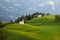 Idyllic landscape in the Alps with fresh green meadows and blooming flowers and d mountain tops in the background