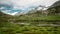 Idyllic landscape in the Alps with fresh green meadows and blooming flowers and d mountain tops in the background